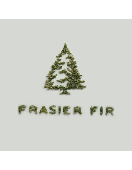 Kit de Difusor de Auto Thymes Frasier Fir - Ambientador Larga Duración Kit de Difusor de Auto Thymes Frasier Fir - Ambientador Larga Duración