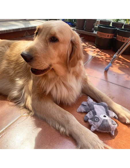 Juguetes para Perros Squeaky Jalousie XL - 3 Piezas Duraderos Juguetes para Perros Squeaky Jalousie XL - 3 Piezas Duraderos
