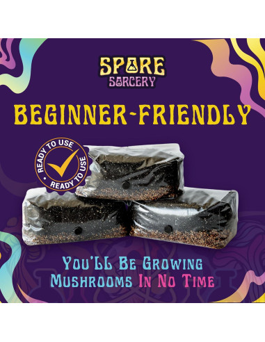 Kit de Cultivo de Champiñones 2 LB Spore Sorcery - Fácil y Rápido