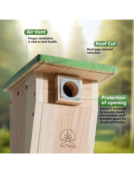 Casa para Pájaros de Cedro ReTang STC3 con Protección Antidepredadores Casa para Pájaros de Cedro ReTang STC3 con Protección Antidepredadores