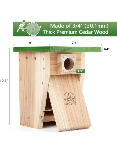 Casa para Pájaros de Cedro ReTang STC3 con Protección Antidepredadores Casa para Pájaros de Cedro ReTang STC3 con Protección Antidepredadores