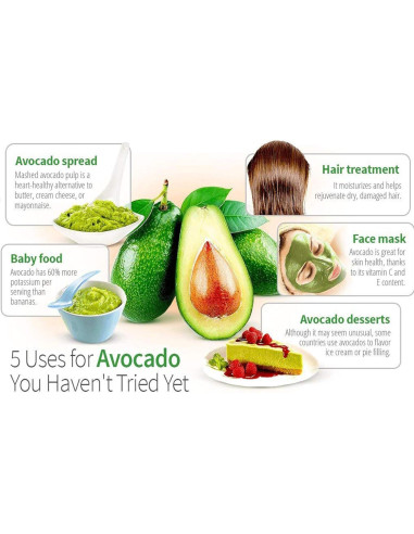 Kit de Crecimiento de Aguacate AvoSeedo - Maceta Flotante 12cm