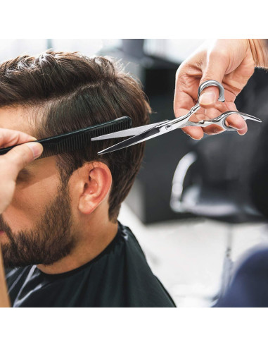 Tijeras de Corte de Cabello Himart Kit Profesional Plata