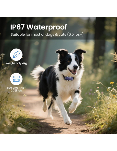 Rastreador GPS para Mascotas TSKWUDA Azul Impermeable 42g Rastreador GPS para Mascotas TSKWUDA Azul Impermeable 42g