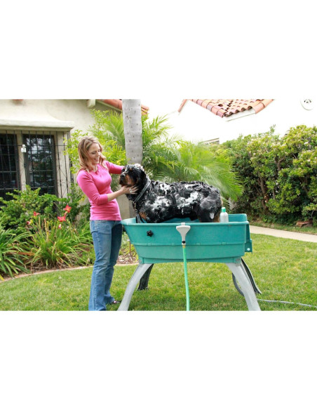 Baño Elevado para Mascotas Booster Bath Grande Verde Azulado Baño Elevado para Mascotas Booster Bath Grande Verde Azulado