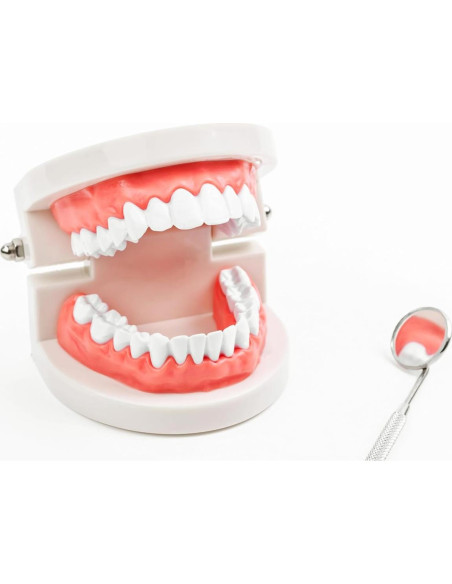 Kit de Limpieza Dental Formit Craft - Raspador, Espejo y Pinzas Kit de Limpieza Dental Formit Craft - Raspador, Espejo y Pinzas