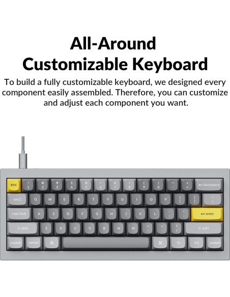 Teclado Mecánico Keychron Q4 Personalizado Aluminio 60% RGB Teclado Mecánico Keychron Q4 Personalizado Aluminio 60% RGB