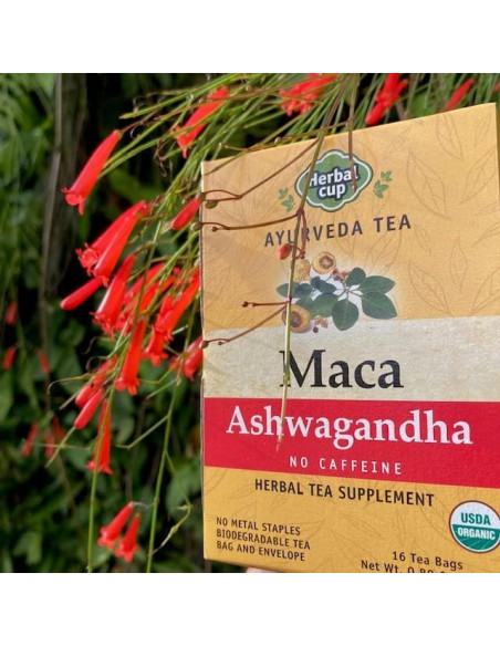 Té Herbal Cup Maca y Ashwagandha Orgánico Sin Cafeína 16 Bolsitas Té Herbal Cup Maca y Ashwagandha Orgánico Sin Cafeína 16 Bolsitas