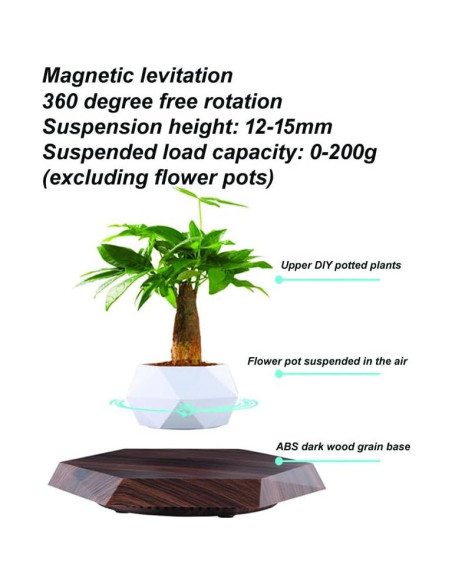 Maceta Flotante Magnética LMingKun para Plantas Pequeñas Maceta Flotante Magnética LMingKun para Plantas Pequeñas