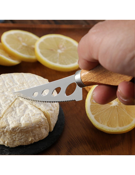 Juego de cuchillos de queso 6 piezas GXIQYL acero inoxidable Juego de cuchillos de queso 6 piezas GXIQYL acero inoxidable