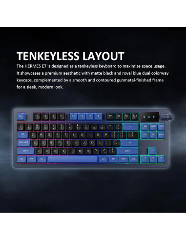Teclado Mecánico GAMDIAS HERMES E7 RGB Tenkeyless PBT