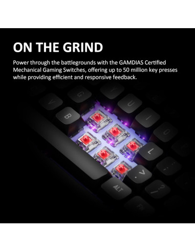 Teclado Mecánico GAMDIAS HERMES E7 RGB Tenkeyless PBT