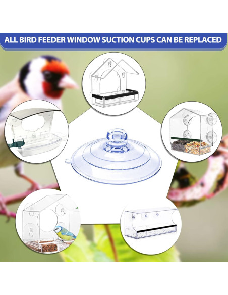 Ventosas de Reemplazo para Alimentador de Aves CrayBG - 5 Pcs Ventosas de Reemplazo para Alimentador de Aves CrayBG - 5 Pcs