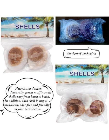 Conchas de Cangrejo Ermitaño QEQEKAKA 2 Pcs Extra Grande Conchas de Cangrejo Ermitaño QEQEKAKA 2 Pcs Extra Grande