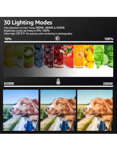 Kit de Luz LED NiceVeedi 2 Paquetes 2800-6500K con Trípode