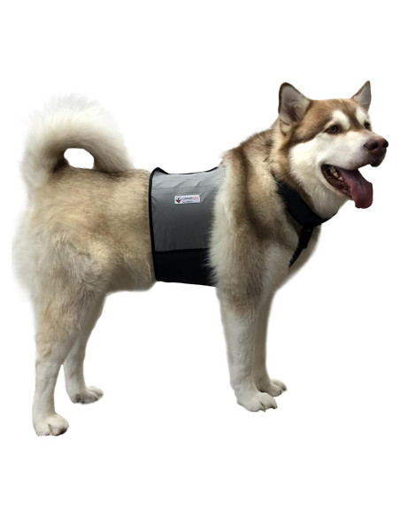Chaleco y Collar Refrigerante para Perros Maranda Grande 68-86 cm Chaleco y Collar Refrigerante para Perros Maranda Grande 68-86 cm