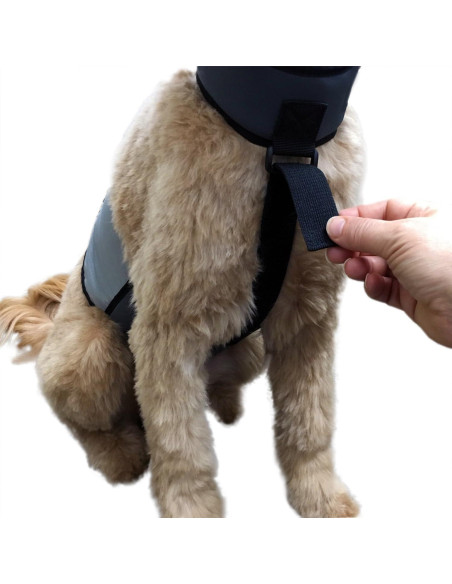 Chaleco y Collar Refrigerante para Perros Maranda Grande 68-86 cm Chaleco y Collar Refrigerante para Perros Maranda Grande 68-86 cm
