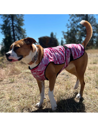 Chaleco Refrigerante para Perros LUCOLOVE Mediano Rosa UPF50+