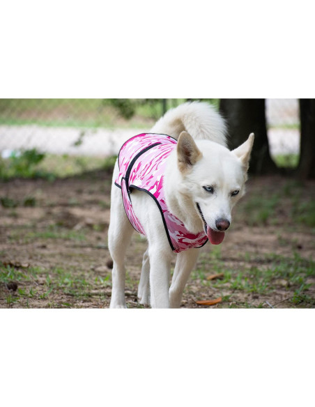 Chaleco Refrigerante para Perros LUCOLOVE Mediano Rosa UPF50+ Chaleco Refrigerante para Perros LUCOLOVE Mediano Rosa UPF50+