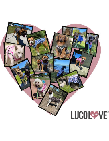 Chaleco Refrigerante para Perros LUCOLOVE Mediano Rosa UPF50+