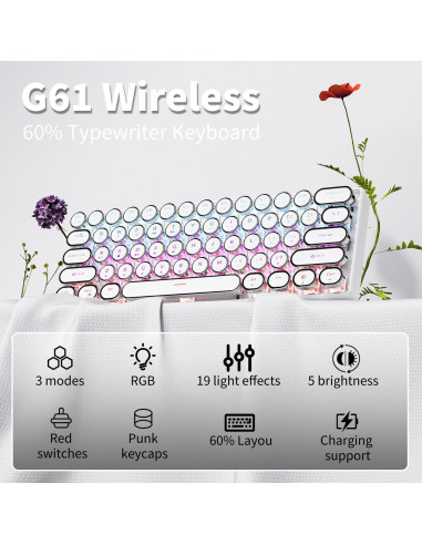 Teclado Mecánico Inalámbrico EWEADN G61 Mini 60% RGB