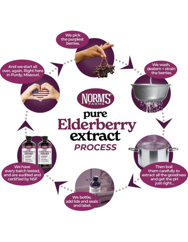 Extracto Puro de Saúco Norm's Farms 236.6 ml - Vegano, Sin Gluten