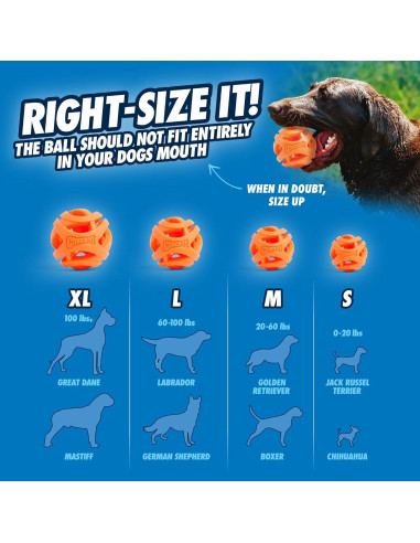 Pelota de Fetch Aérea Chuckit! Mediana 6.35 cm para Perros