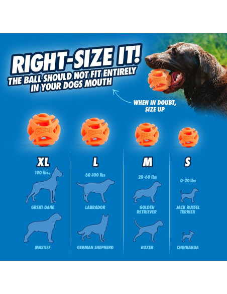Pelota de Fetch Aérea Chuckit! Mediana 6.35 cm para Perros Pelota de Fetch Aérea Chuckit! Mediana 6.35 cm para Perros