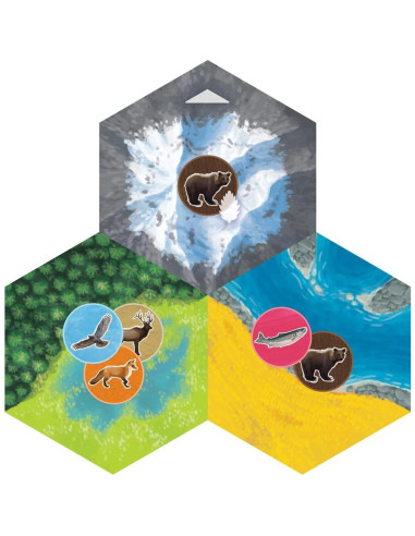 Cascadia - Juego de mesa AEG | Estrategia familiar 1-4 jugadores