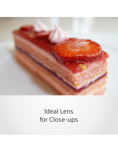 Lente Macro Fija Sony SEL30M35 30mm f/3.5 Montura E