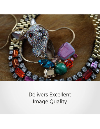 Lente Macro Fija Sony SEL30M35 30mm f/3.5 Montura E