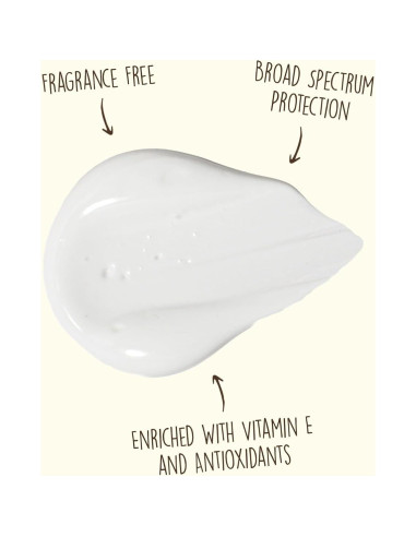 Sun Bum Loción Facial Solar SPF 50 Hidratante 85 g