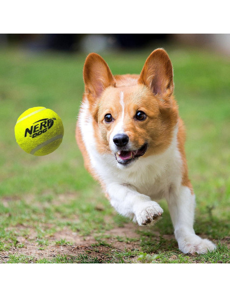 Lanzador de Pelotas Nerf Dog + 3 Pelotas para Perros Lanzador de Pelotas Nerf Dog + 3 Pelotas para Perros