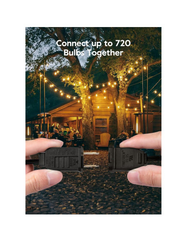 Luces de Cadena LED Brightown 15,24 m 25 Bombillas Dimmables