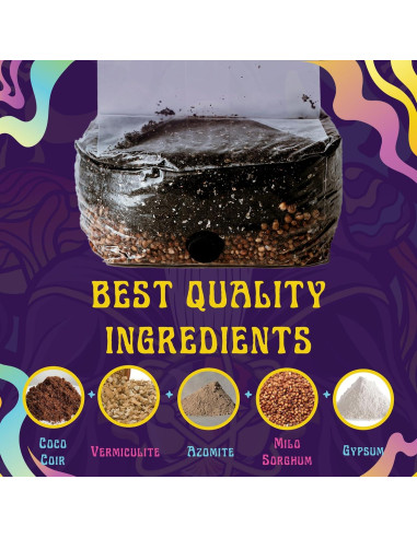 Kit de Cultivo de Champiñones 2 LB Spore Sorcery - Nutrientes Incluidos