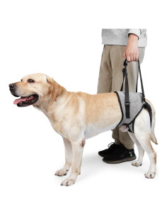 Arnés Elevación para Perros HDKUW XL Soporte Patas Traseras