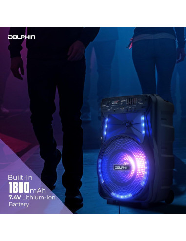 Altavoz Bluetooth Recargable 12" Dolphin - Sonido Potente, Luces LED