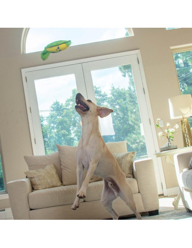 Juguete Interactivo para Perros Outward Hound Esconde N' Encuentra