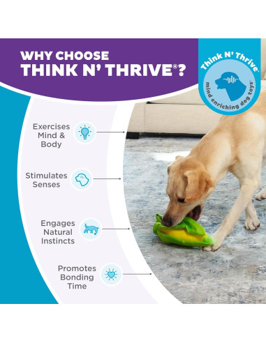 Juguete Interactivo para Perros Outward Hound Esconde N' Encuentra