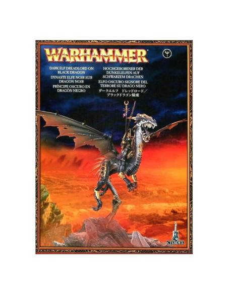 Figurita Warhammer Señor Oscuro Elfo en Dragón Negro 300g Figurita Warhammer Señor Oscuro Elfo en Dragón Negro 300g