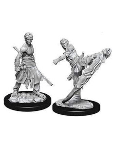 Miniaturas D&D Nolzur Monje Semielfo Sin Pintar