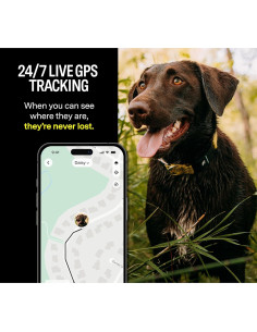 Collar Inteligente Fi Series 3 - GPS y Monitor de Perros 2