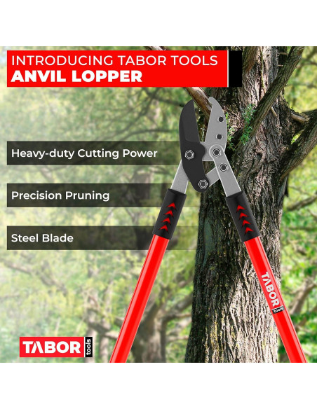 Podadora de Yunque TABOR TOOLS GG12A 76 cm Corte 5 cm Podadora de Yunque TABOR TOOLS GG12A 76 cm Corte 5 cm