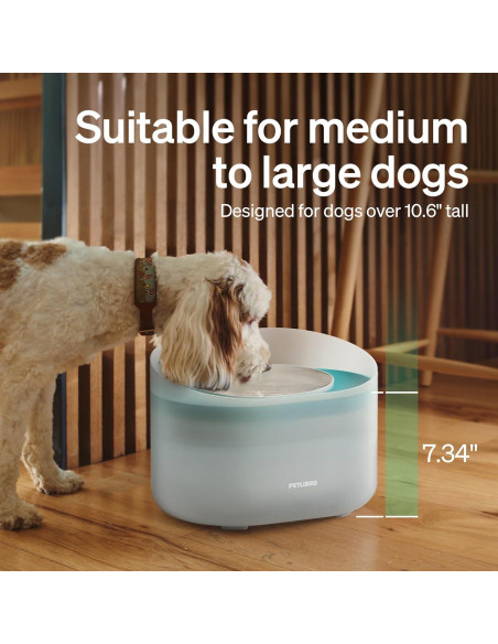 Fuente de Agua para Perros PETLIBRO 8L Antisalpicaduras Fuente de Agua para Perros PETLIBRO 8L Antisalpicaduras