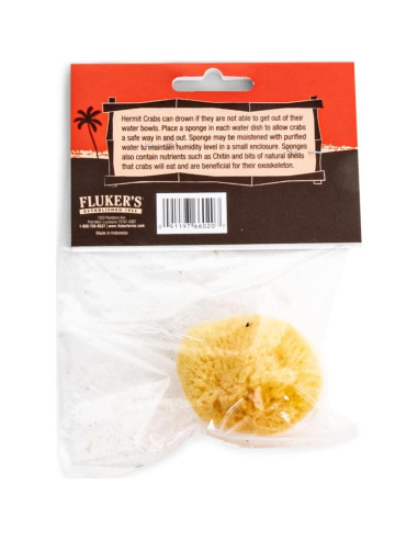 Esponja Natural de Mar Fluker para Cangrejos Ermitaños 2.54cm