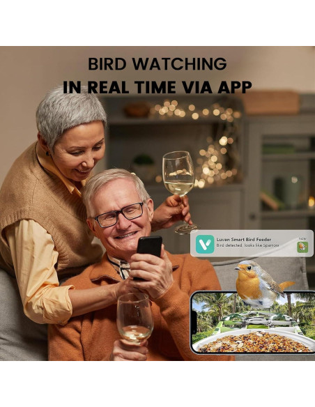 Comedero para Aves Luvan con Cámara 1080P y AI Solar Comedero para Aves Luvan con Cámara 1080P y AI Solar