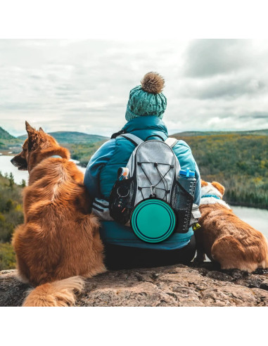 Cuencos Plegables para Perros Paercute - 2 Unidades Grandes