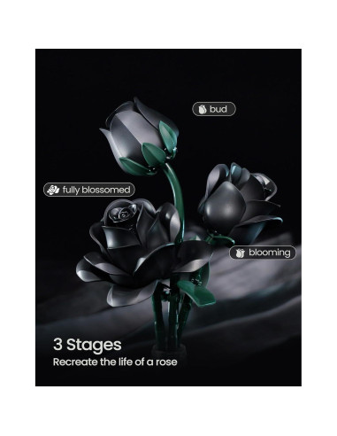 Ramo de Rosas Negras iATOM 608PCS Decoración Floral