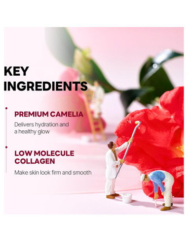 Mascarilla Hidrogel ROUND LAB Colágeno Camelia 4 Piezas