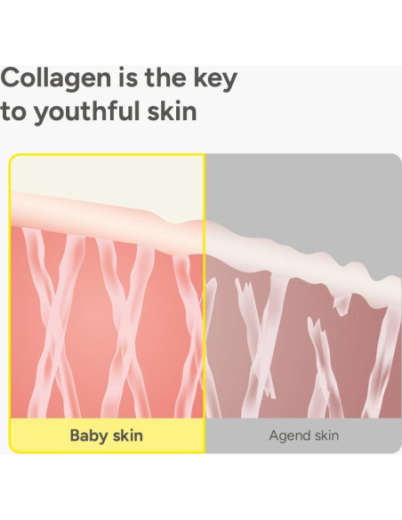 Serum Facial Antiarrugas Sungboon Editor con Colágeno y Niacinamida 80g Serum Facial Antiarrugas Sungboon Editor con Colágeno y Niacinamida 80g